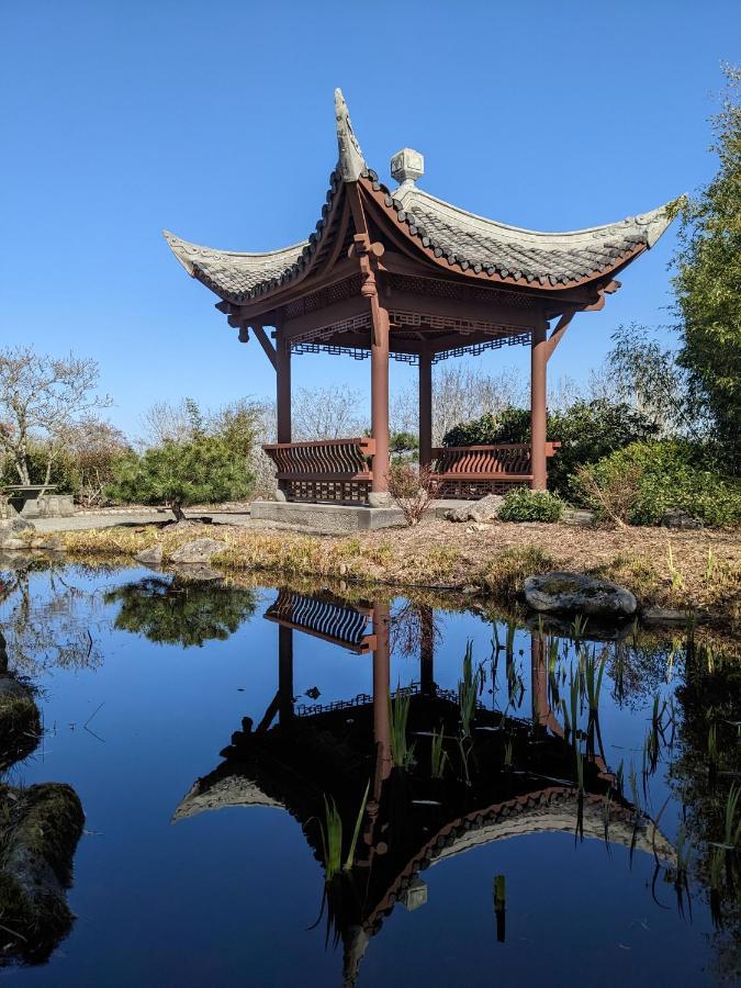 High Point Guesthouse - Next To Seattle Chinese Garden Esterno foto