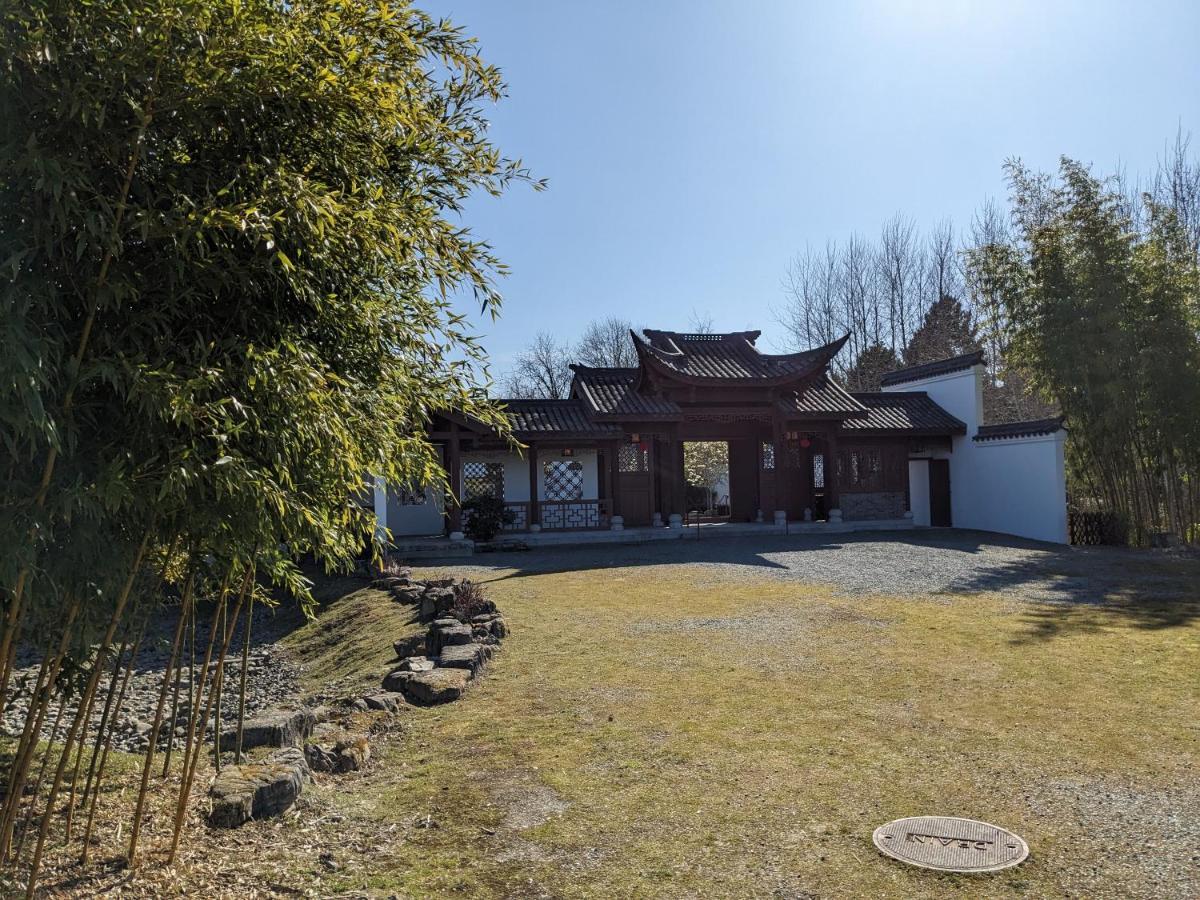 High Point Guesthouse - Next To Seattle Chinese Garden Esterno foto